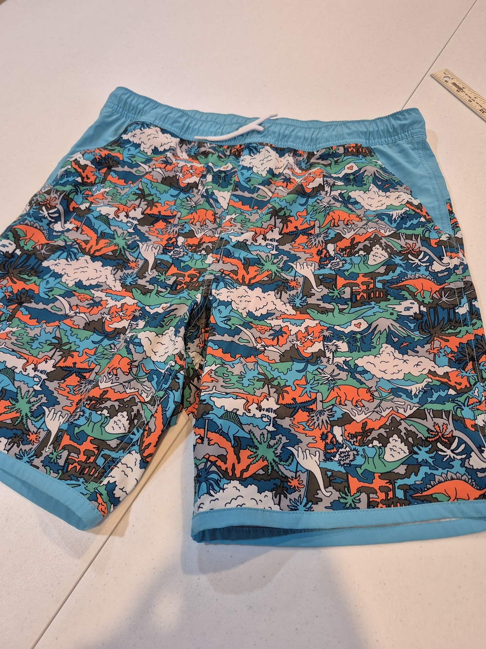Lands' End Boys Aqua and Orange Dino Print Swim Trunks 4814